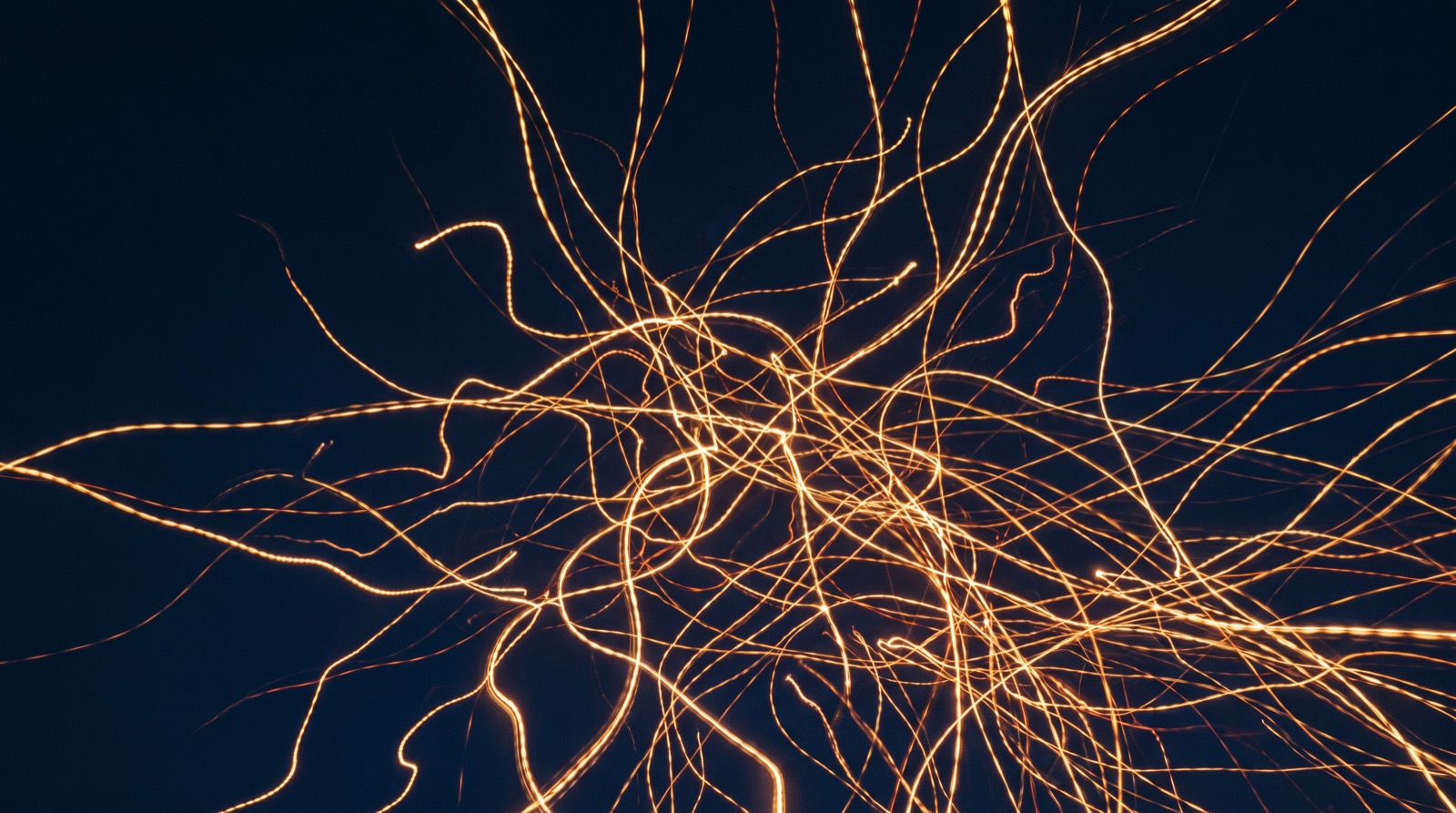 Warm light trails branching across a dark field